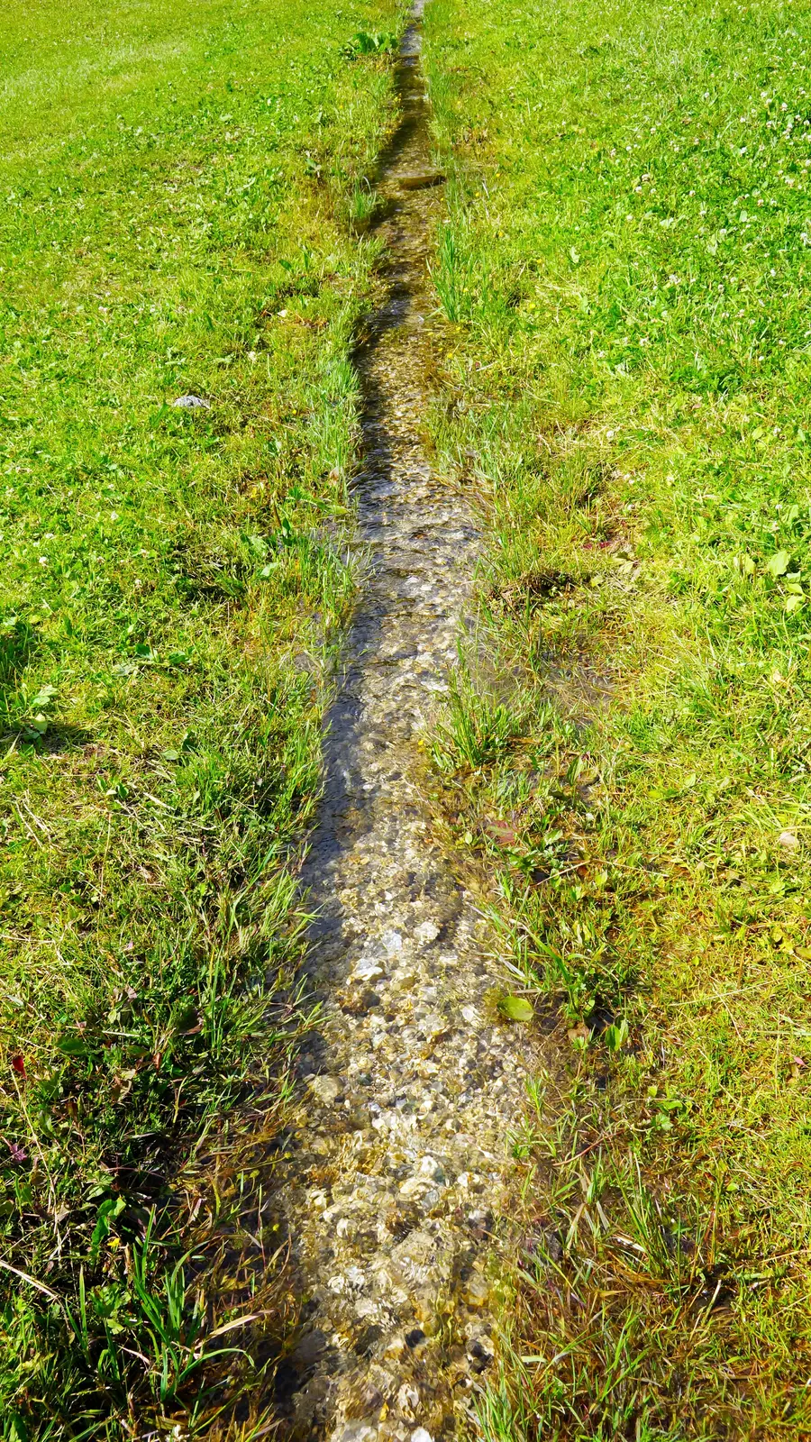 Narrow gravel-filled drain trench running across a lawn