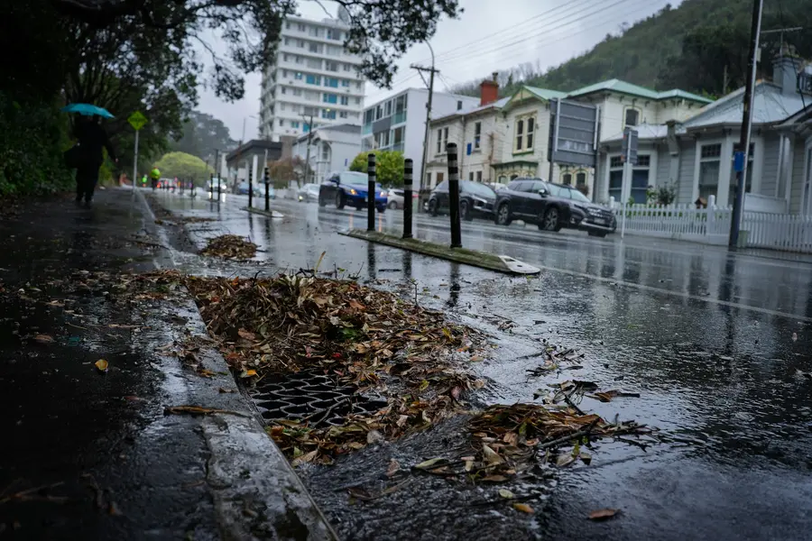 Street drain grate half-covered by wet leaves in heavy rain