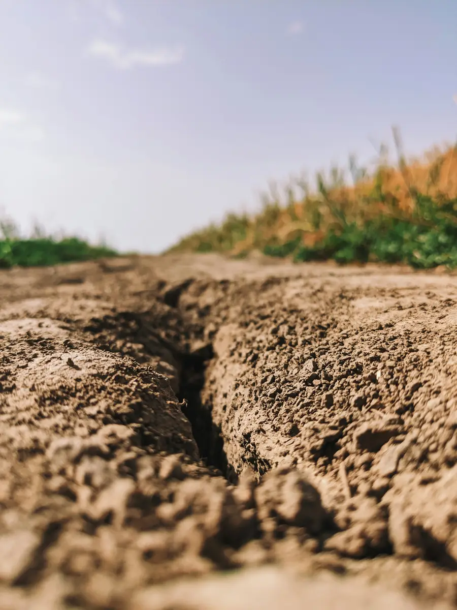 Narrow trench dug through dry sandy soil at the edge of a field
