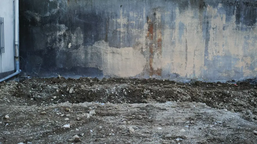 Damp stains spreading up a bare concrete basement wall from the floor